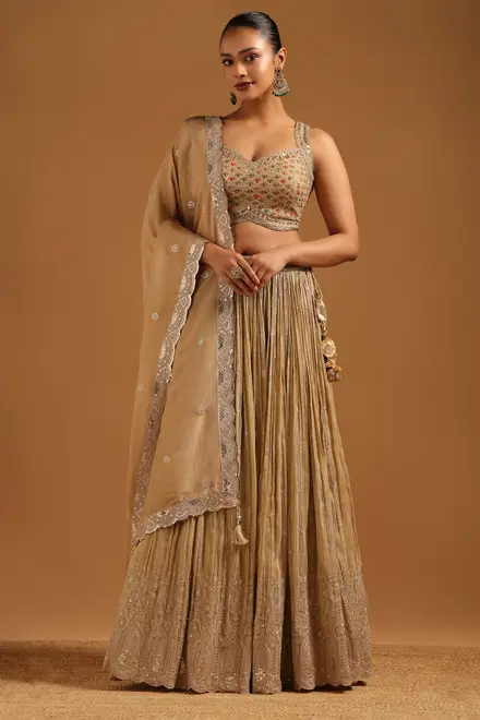 Beige Dupion Floral Zari Embroidered Lehenga With Mirror & Stone